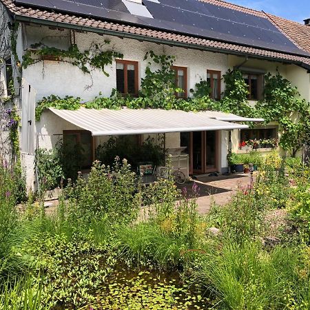 Ferienhaus Mit Naturgarten Dachsen ภายนอก รูปภาพ