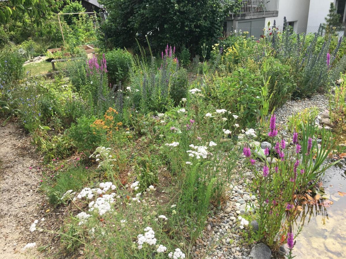 Ferienhaus Mit Naturgarten Dachsen ภายนอก รูปภาพ