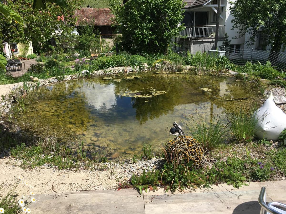 Ferienhaus Mit Naturgarten Dachsen ภายนอก รูปภาพ