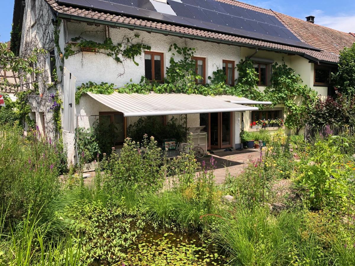 Ferienhaus Mit Naturgarten Dachsen ภายนอก รูปภาพ